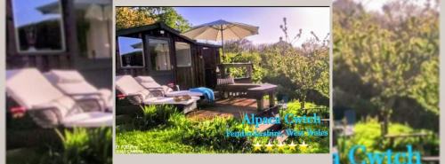 Goodwick Cabin | Alpaca Cwtch - Pembrokeshire, West Wales