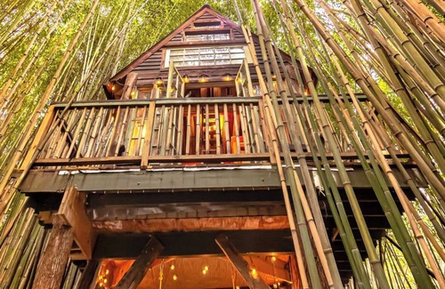 Atlanta Cottage | Alpaca Treehouse in the Bamboo Forest