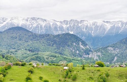 Moieciu Cabin | Alpine Escape Studios