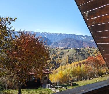 Moieciu Cabin | Alpine Escape Studios