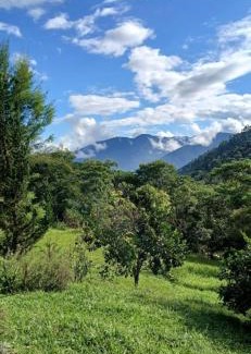 Interior de Sao Paulo Cabin | Alto de Santa Barbara