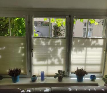Altstadt Apartment | Altstadtnest