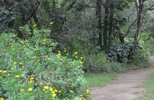 Thorny Bush Game Reserve House | Amanzimlotzi Riverside Bush Tent for 3 Adults in Limpopo, Kruger Park