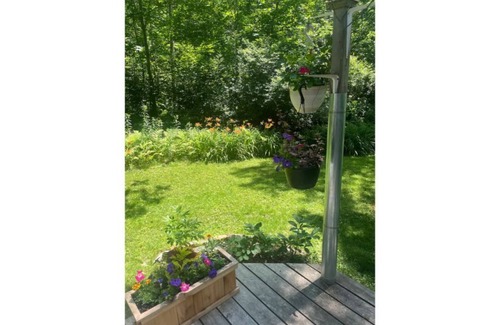 Belfast House | Amazing house in the forest; 10 minutes to Belfast