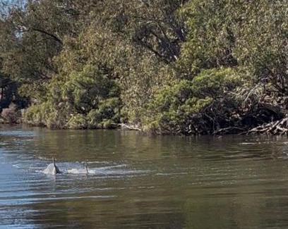 Ravenswood House | Amazing River House