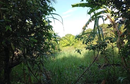 Puerto Jimenez House | Amazona un pequeño mundo de corcobado serca del oceano