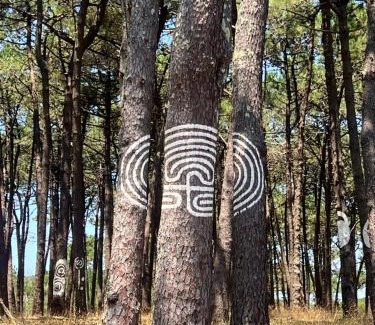 Tomino House | Amor-In