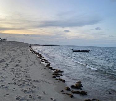 Barra Grande Hotel | Amoreira Pousada em Barra Grande Piaui