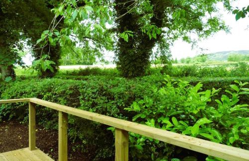 Omagh Other | An Garraí Mór