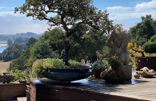 Prunedale House | An oasis on a private retreat