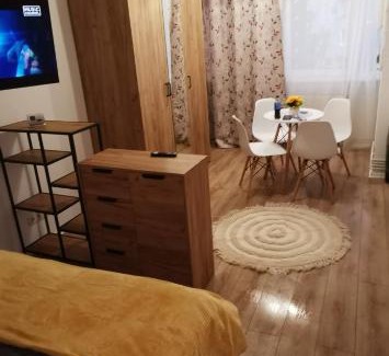Tirgu Mures Apartment | Ana Studio