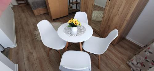 Tirgu Mures Apartment | Ana Studio