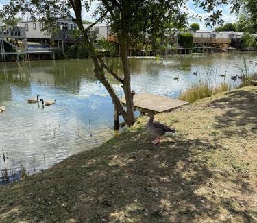 Crowle Other | Andreas Riverside Retreat at 7 Lakes Country Park