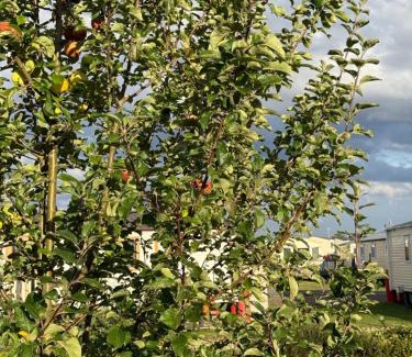 Crowle Other | Andreas Riverside Retreat at 7 Lakes Country Park