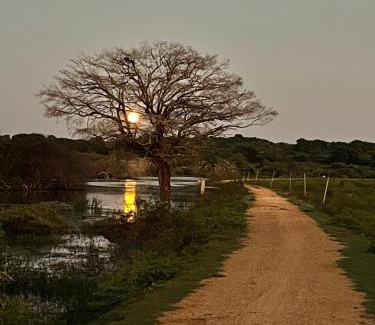 Yodakandiya Hotel | Animal View Point Yala