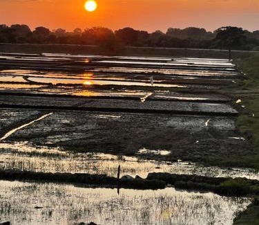 Yodakandiya Hotel | Animal View Point Yala