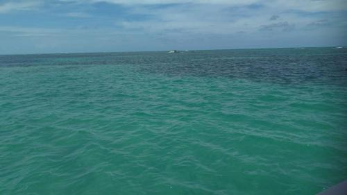 Ponta do Seixas House | Antheia Ponta do Seixas