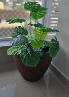 Praia da Armacao do Itapocoroi Apartment | Ap novo com vista para o Parque Beto Carrero! 6 min a pé