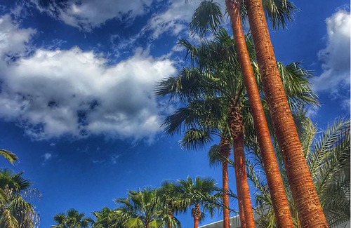 Cala Marcal Apartment | Aparhotel Pierre & Vacances Mallorca Cecilia