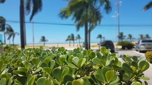 Fortaleza Apartment | Apart-Hotel Terraços do Atlântico