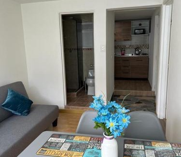 Cuidad Jardin Norte Apartment | Aparta-estudio Ciudad Jardin Norte 202