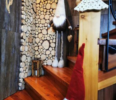 Poronin Apartment | Apartament Hawrań Murzasichle Apartamenty Murzasichle PL