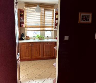 Fabryczna Apartment | Apartament Kozia