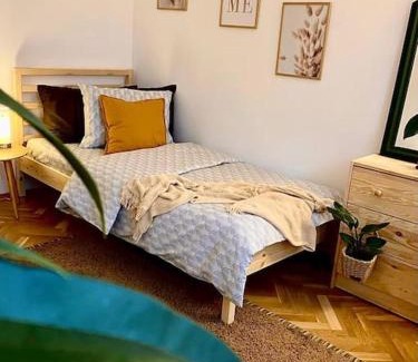 Tirgu Mures Apartment | Apartament langa Universitate UMFST
