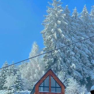 Sokolec Ski Chalet | Apartament Na Szlaku