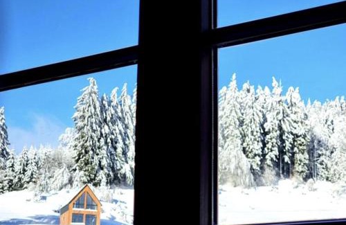 Sokolec Ski Chalet | Apartament Na Szlaku