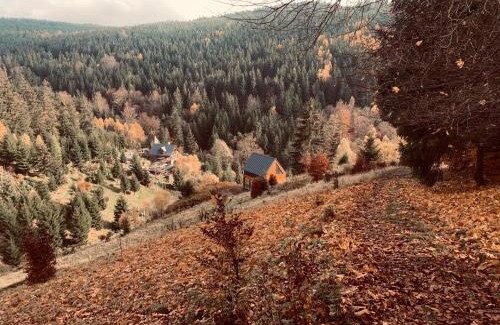 Sokolec Ski Chalet | Apartament Na Szlaku