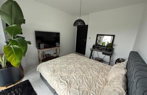 gmina Kazmierz Apartment | Apartament Nowość 65 m2