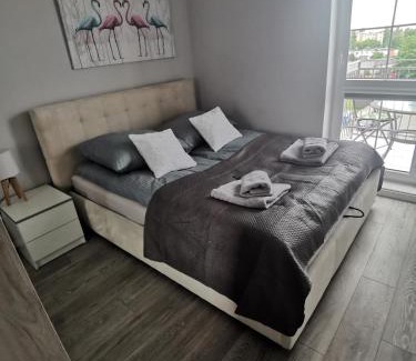 Olsztyn Apartment | Apartament przy Lesie