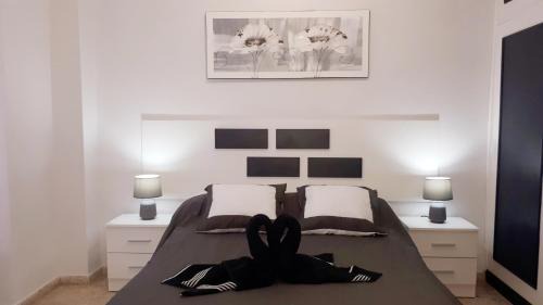 Puerto Naos Apartment | Apartamento Any