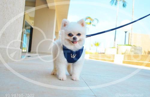 Salinopolis Apartment | Apartamento em Resort - Park