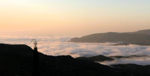 Alcutar Apartment | Apartamento en Bérchules