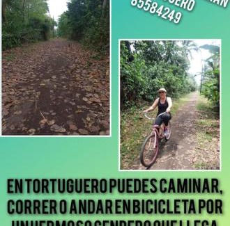 Tortuguero Apartment | Apartamentos Caimán Tortuguero