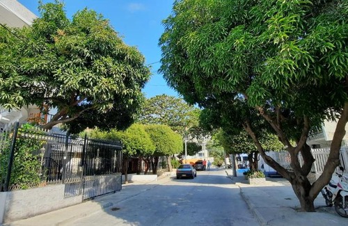 Mamatoco House | Apartamentos Coffee House