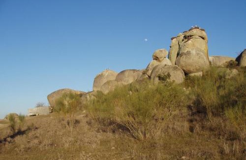 Santiago Apartment | Apartamentos La Machacona Plaza de Santiago