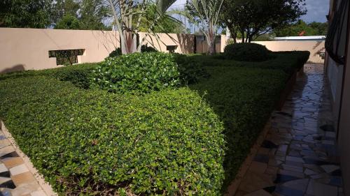 Barrio El Hospital Apartment | Apartamentos Nuevo Amanecer