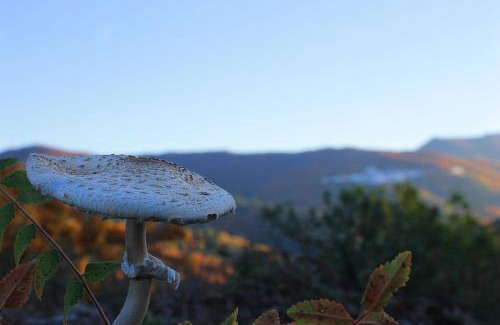 Juzcar Apartment | Apartamentos Real Fábrica Hojalata