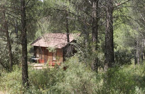 Andujar Apartment | Apartamentos Rurales Sierra Luna