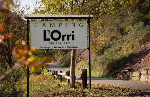 Soriguera Other | Apartaments i Bungalows Càmping L'Orri del Pallars