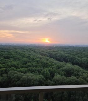 Pantai Indah Kapuk Apartment | Apartement Gold Coast