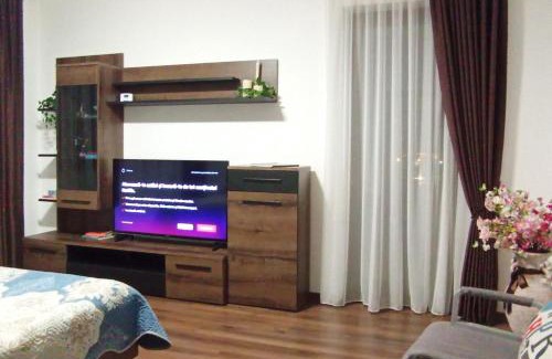 Cluj County Apartment | Aparthotel Laura
