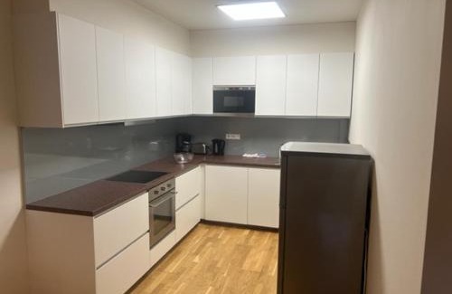 Spindleruv Mlyn Apartment | Apartmán Medvědín