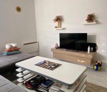 Hadzici Apartment | Apartman Centar