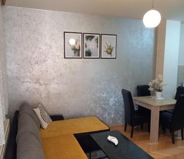 Bijeljina Apartment | Apartman Central