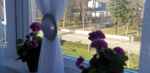 Sanski-Most Apartment | Apartman Hana