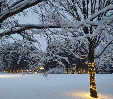 Kupres Apartment | Apartman Luka